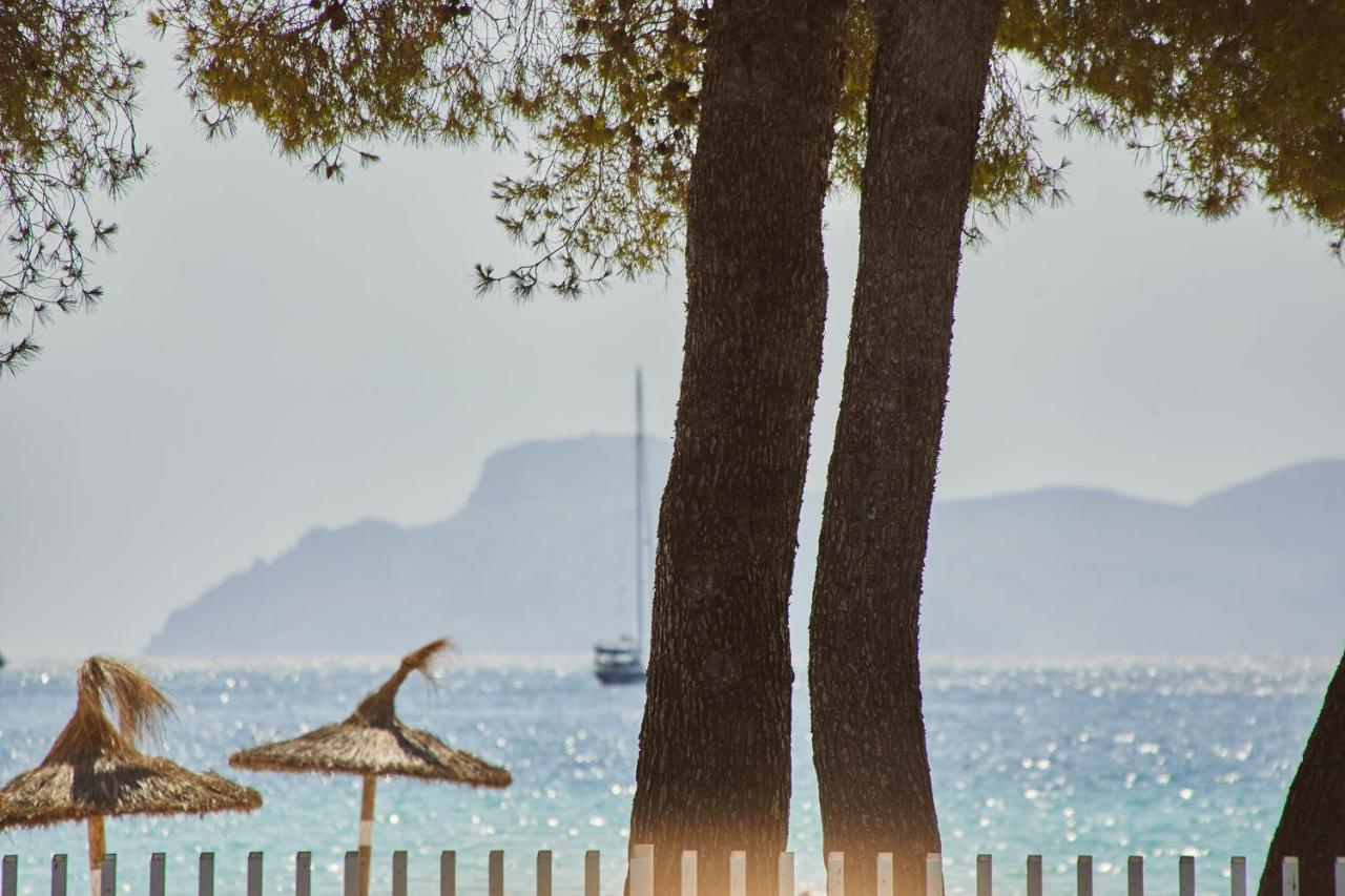 Sofia Alcudia Beach Port de Alcudia  Kültér fotó